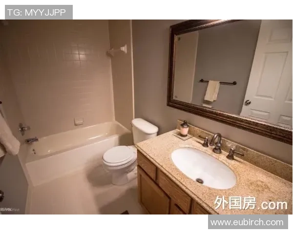 车士打菲特与布的较量揭示投资智慧与市场策略的深刻对比